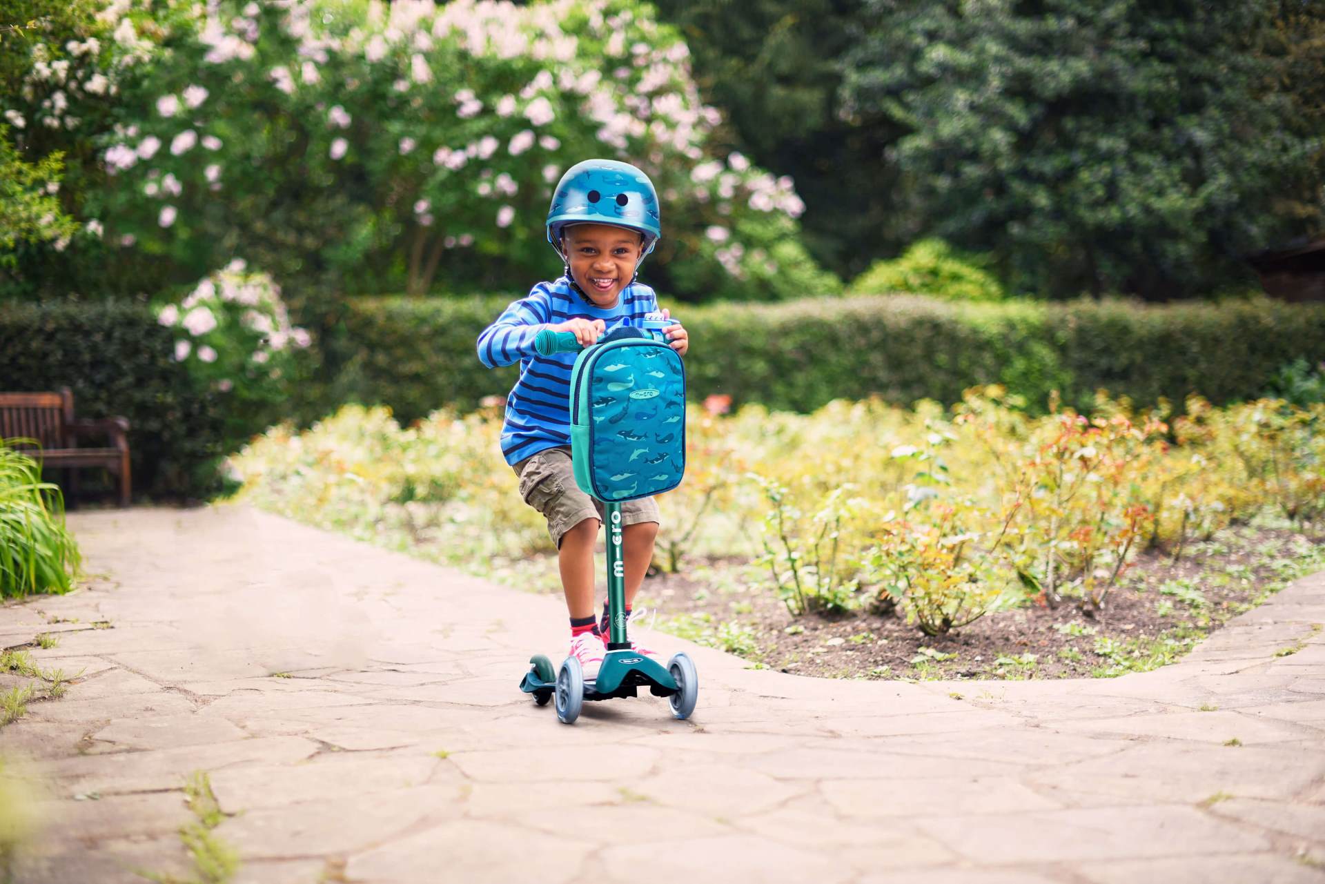 Micro-scooters and Helmet